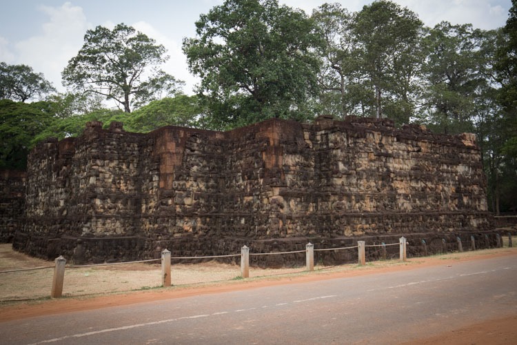 癲王台 (Leper King)
