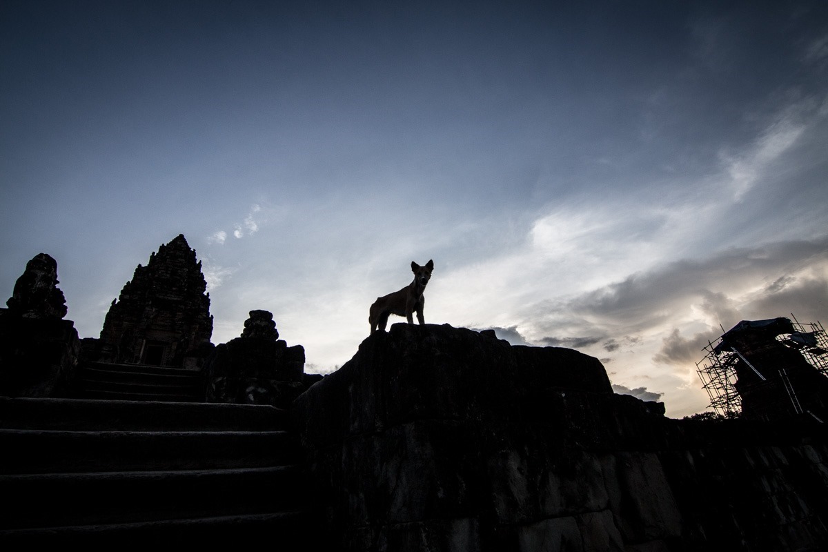 巴孔寺 (Bakong)