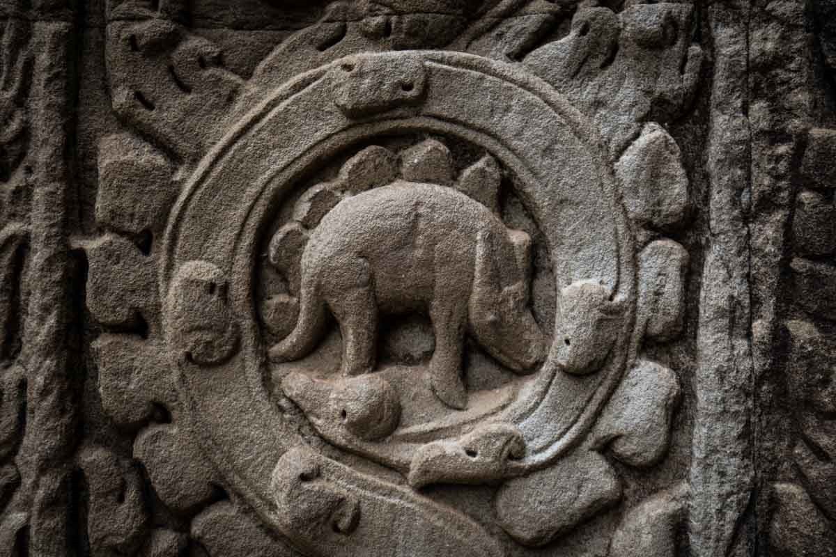 塔普倫寺 (Ta Prohm) 塔普倫寺 (Ta Prohm)