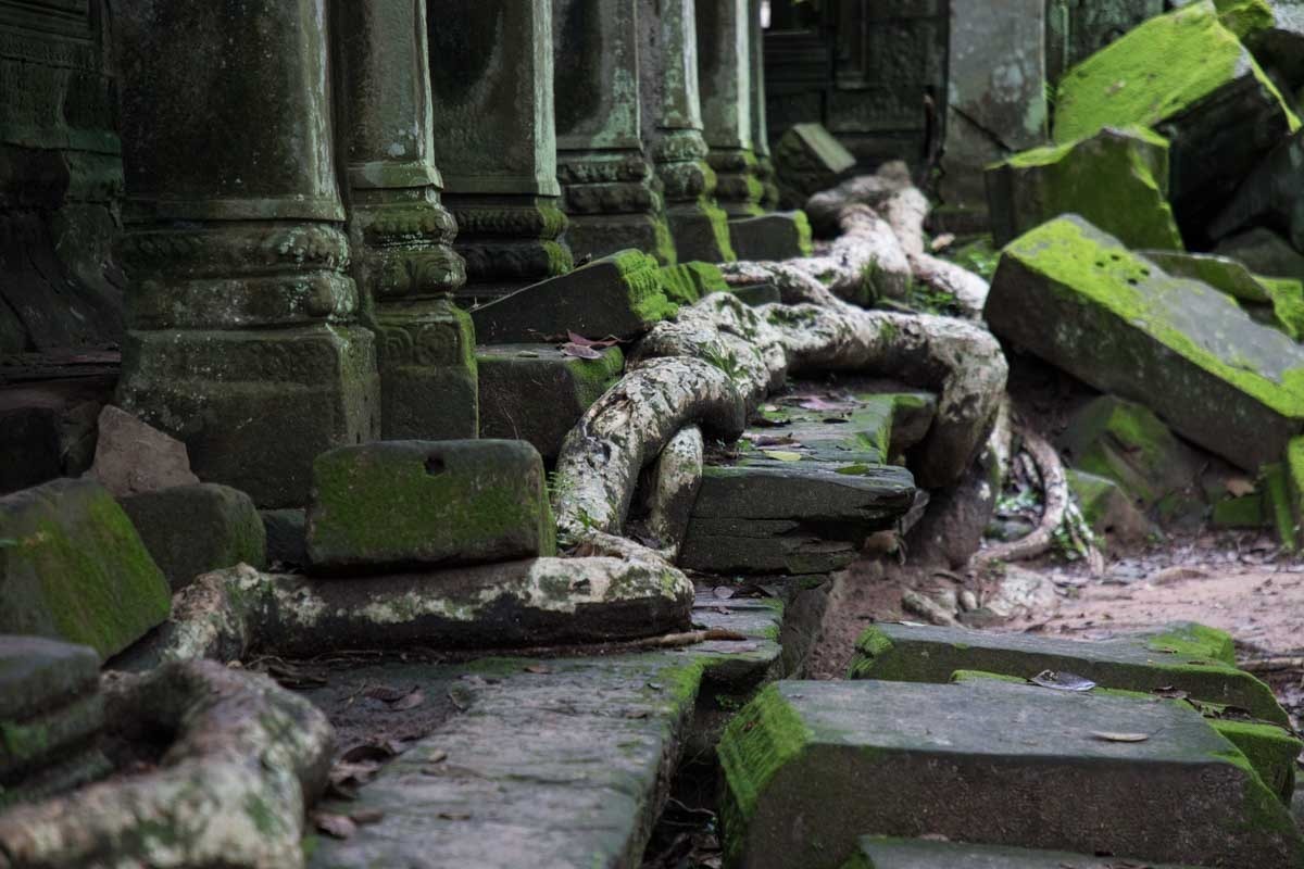 塔普倫寺 (Ta Prohm) 塔普倫寺 (Ta Prohm)