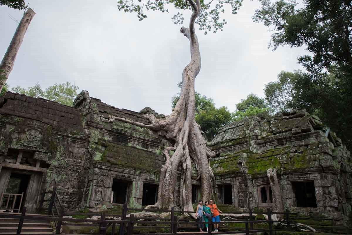 塔普倫寺 (Ta Prohm) 塔普倫寺 (Ta Prohm)