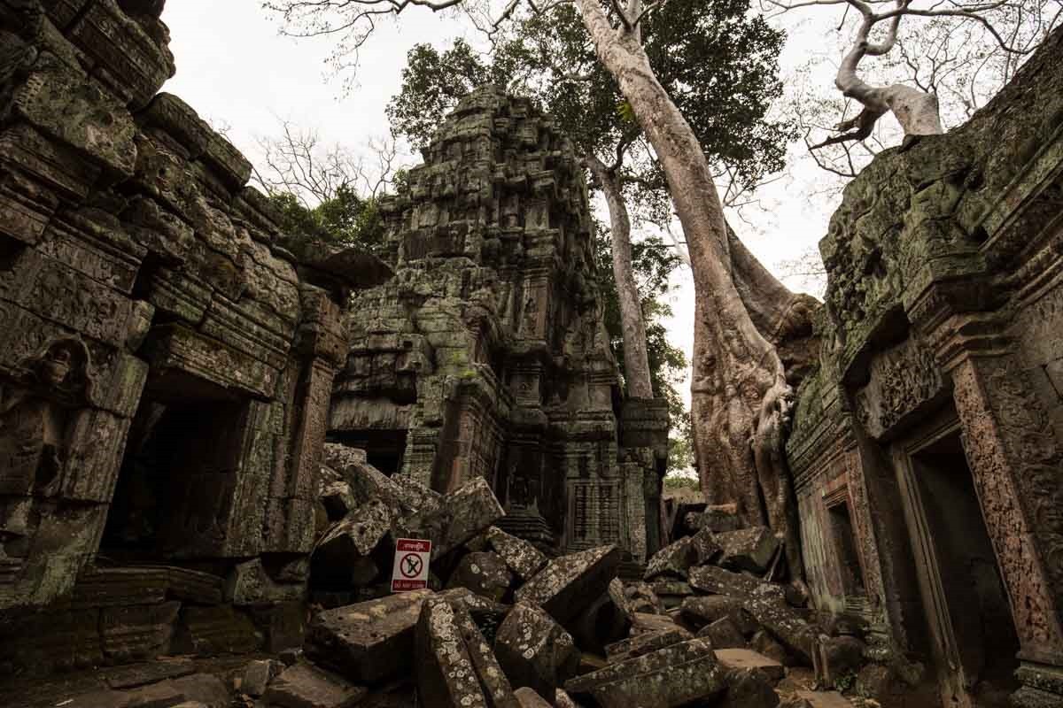 塔普倫寺 (Ta Prohm) 塔普倫寺 (Ta Prohm)