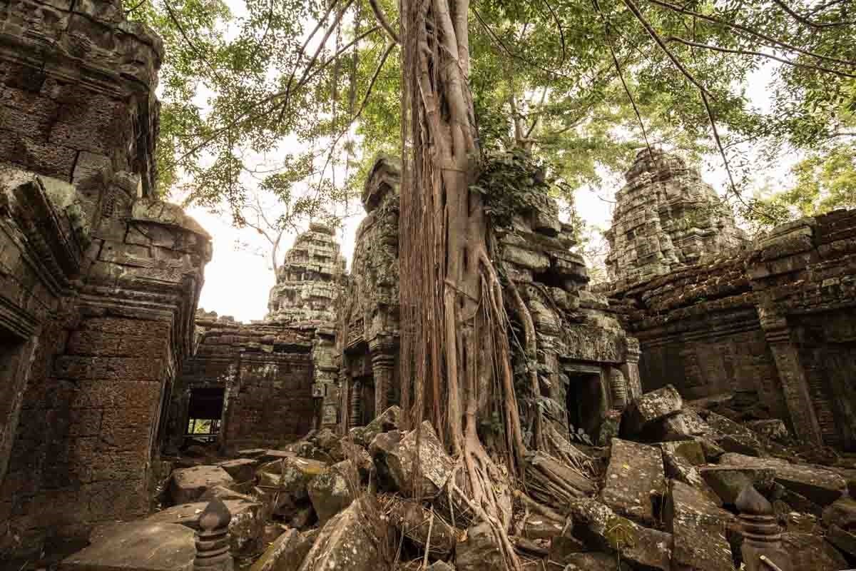 塔普倫寺 (Ta Prohm) 塔普倫寺 (Ta Prohm)
