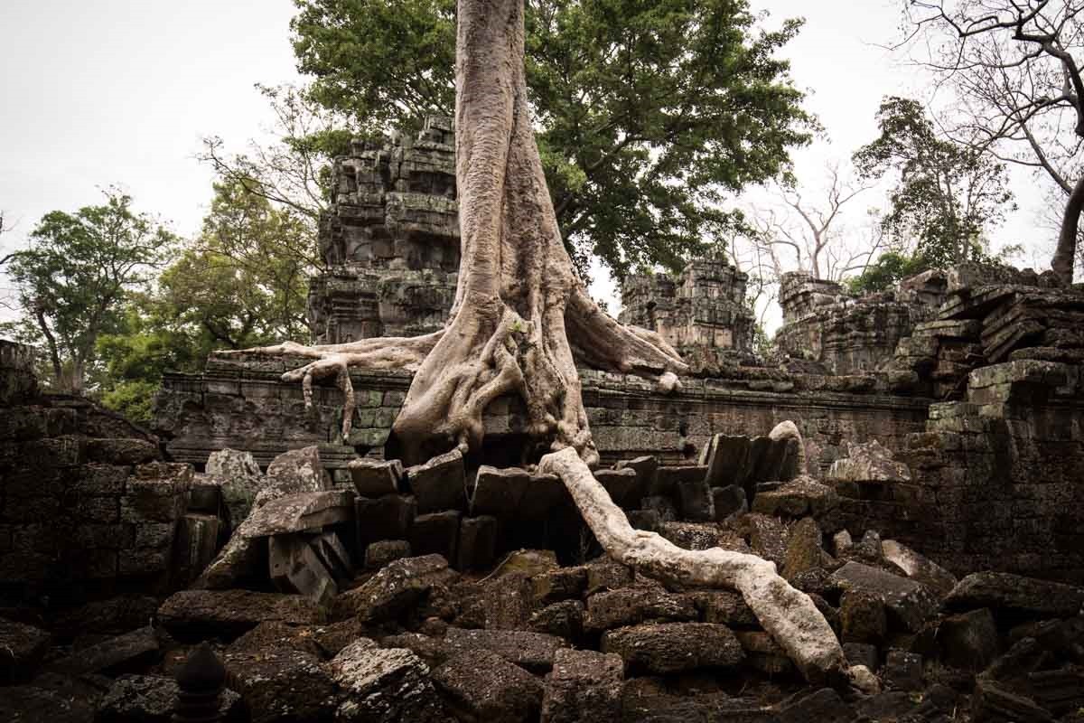 塔普倫寺 (Ta Prohm) 塔普倫寺 (Ta Prohm)