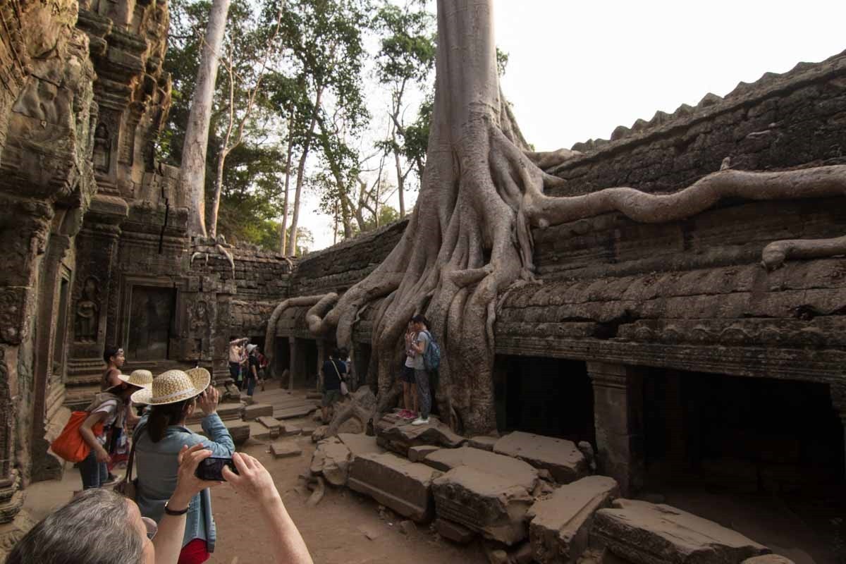 塔普倫寺 (Ta Prohm) 塔普倫寺 (Ta Prohm)
