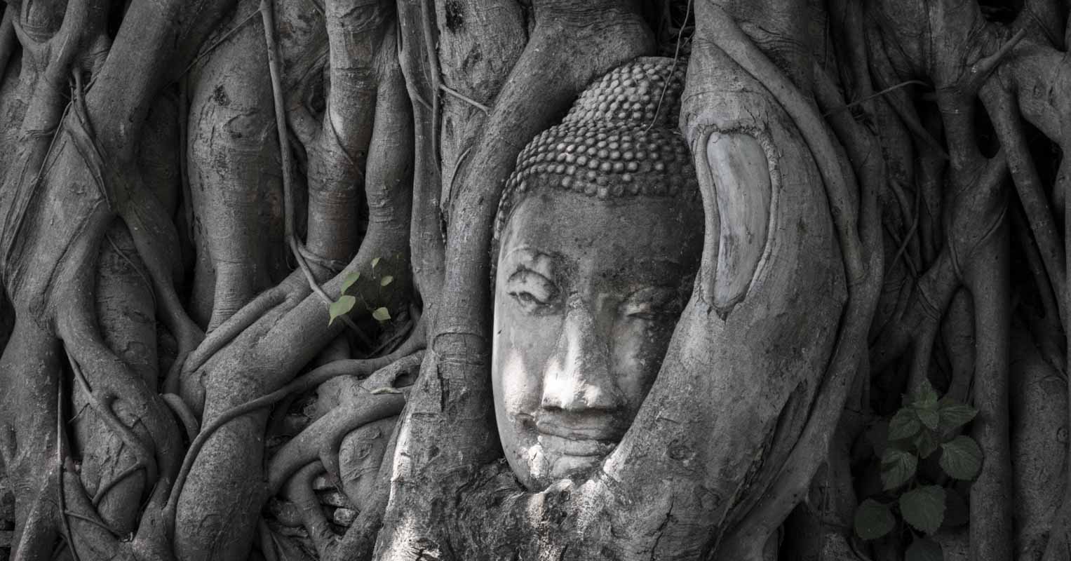 毀了吳哥城的 Ayutthaya (大城王朝)，最後其首都也被緬甸的東吁王國所毀